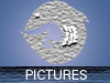Pictures